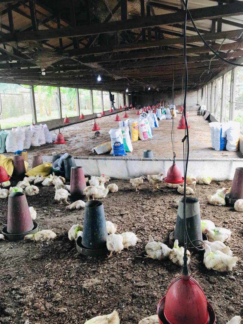 WhatsApp Image 2025 12 15 At 11.48.06 2