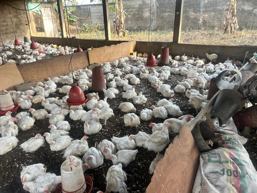 WhatsApp Image 2025 12 15 At 11.48.06 3