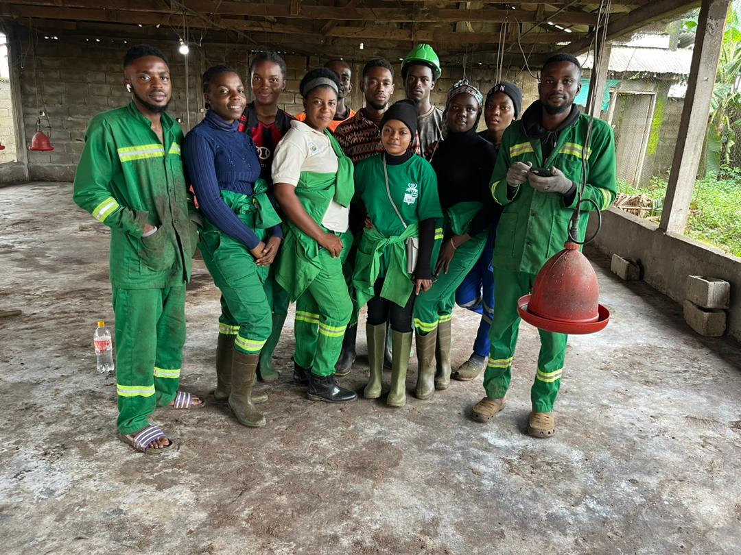 whatsapp image 2025 12 15 at 21.20.29