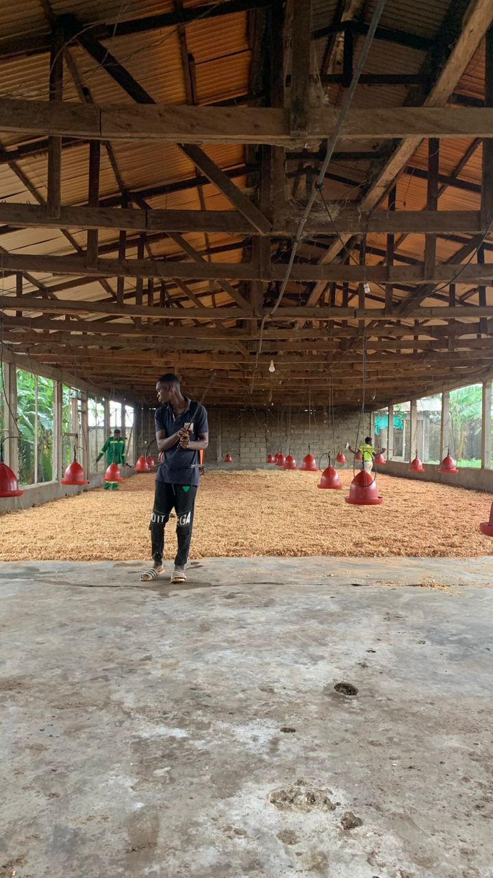 whatsapp image 2025 12 15 at 21.21.27