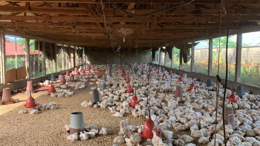 whatsapp image 2025 12 15 at 21.21.27