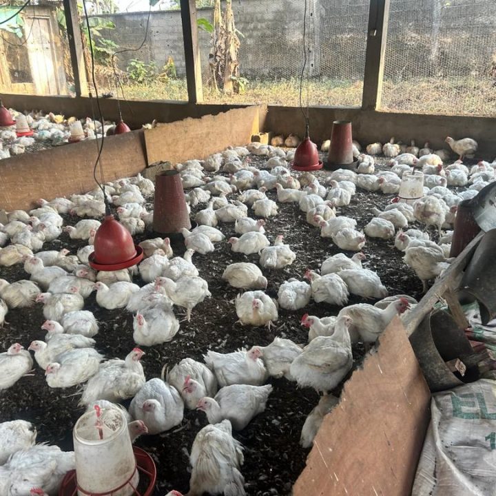 WhatsApp Image 2025-12-15 at 11.48.06 (3)